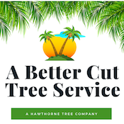 Tree Service Lakeland FL Logo